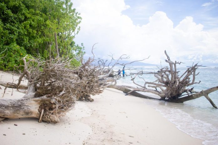 Roadmap to accessing climate finance in the Pacific