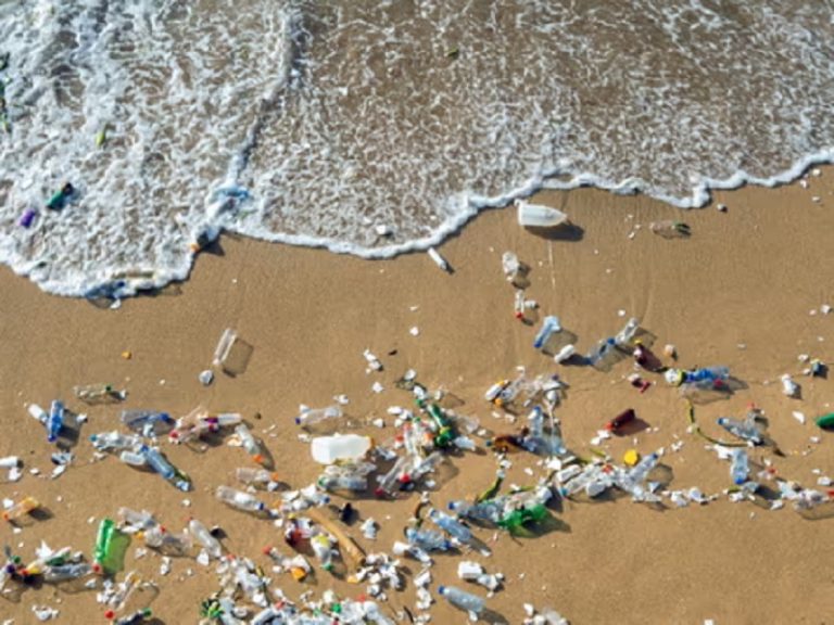 Fiji minister urges ‘quicker’ plastic pollution treaty