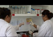 World Food Forum: Bridging technological gaps in Low- and Middle-income countries and Small Island Developing States