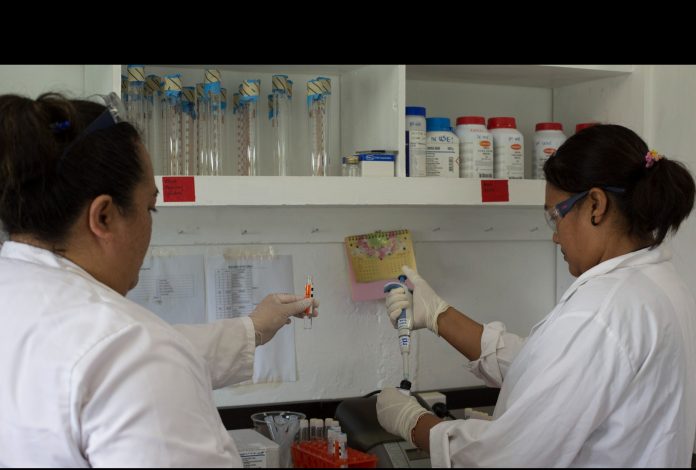 World Food Forum: Bridging technological gaps in Low- and Middle-income countries and Small Island Developing States