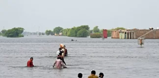 U.S offers no new cash to climate fund for developing world