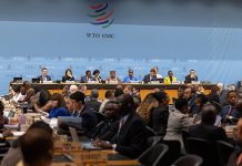 WTO members reach deal to support least-developed countries on path to graduation