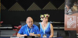 Time for Smaller Islands States to consider their role into the future: Forum Chair Brown