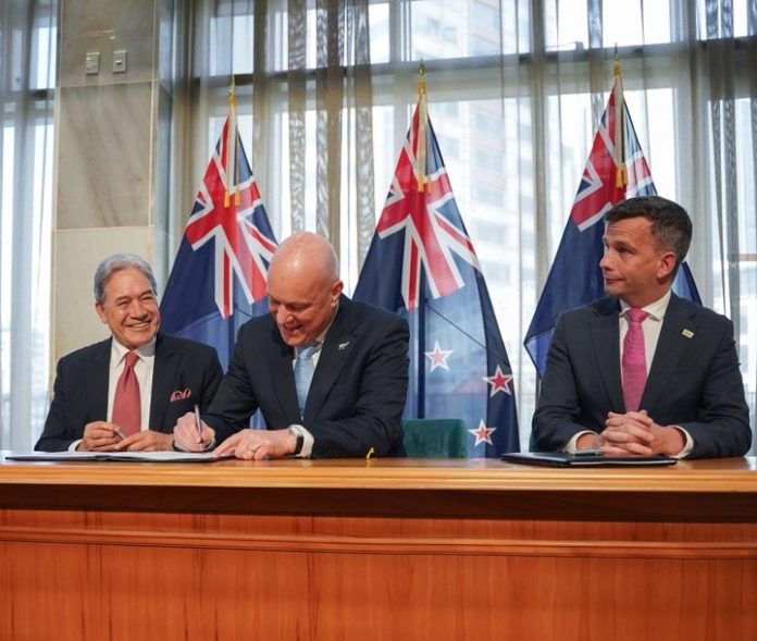 NZ government formed