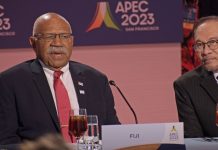 APEC leaders urged to take serious steps to increase climate actions