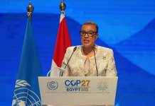 ‘No more excuses’: Commonwealth Secretary-General will call for accelerated action on climate crisis at COP28