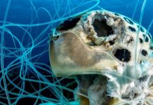 SPREP calls for more robust regime to address the full life cycle of ghost gear