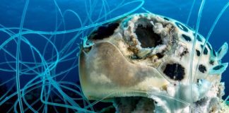 SPREP calls for more robust regime to address the full life cycle of ghost gear
