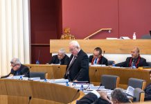 Resignation by new MP could become illegal in Samoa