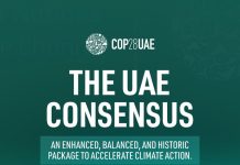 COP28 adopts ‘UAE consensus’ paving the way for fossil fuel transition