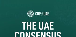 COP28 adopts ‘UAE consensus’ paving the way for fossil fuel transition