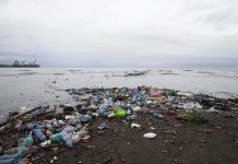 Pacific faces new battle: plastic addiction