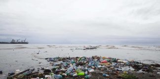 Pacific faces new battle: plastic addiction