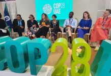 Forum SG Puna support change of COP format for amplified youth voices