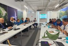 COP28 Loss and Damage Fund: Pacific experts navigate optimism with caution