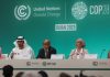UN Climate chief stresses 1.5°C target urgency at COP28