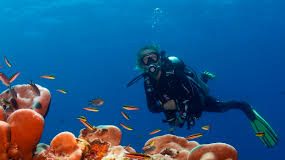 France welcomes the UN General Assembly’s adoption of the resolution concerning the Ocean Conference