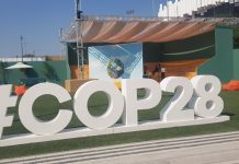 The great global land grab