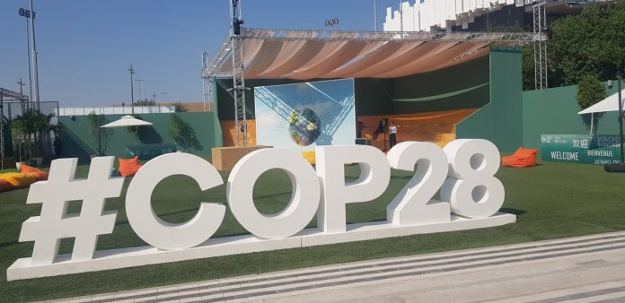 The great global land grab