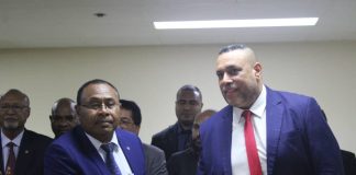 Allan Bird, alternate PNG PM nominee