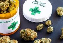 Fiji Cabinet approves medicinal cannabis industry establishment after nationwide consultations