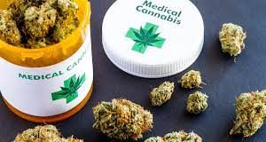 Fiji Cabinet approves medicinal cannabis industry establishment after nationwide consultations
