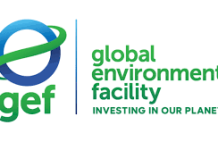 GEF Council approves $1.1 billion and sets plans for biodiversity fund