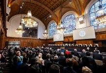 At ICJ, lawyer for Palestine rips U.S and Fiji for defending whatever offenses Israel commits
