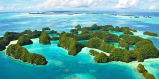 Palau becomes the first UN Member State to ratify global Marine Biodiversity Treaty