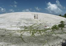 Tackling nuclear legacies, 70 years after Bravo