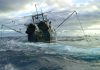 Pacific Groups join global call for WTO to target big fishing fleets