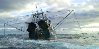 NZ Government harpoons proposed South Pacific trawling restrictions