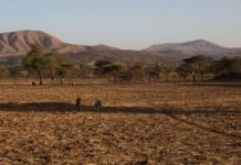 March-May temperatures above normal due to El Niño – UN