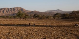 March-May temperatures above normal due to El Niño – UN
