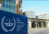 Calls for international criminal court to end ‘impunity’ for environmental crimes