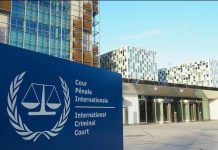 Calls for international criminal court to end ‘impunity’ for environmental crimes