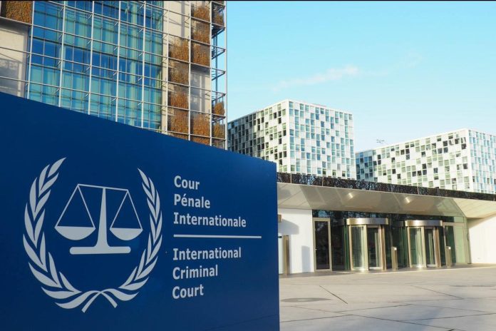 Calls for international criminal court to end ‘impunity’ for environmental crimes