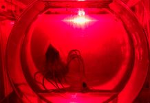 Communities worry anew as PNG revives seabed mining plans