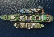 Net gains: how Pacific Island states are securing the future of tuna – and their own