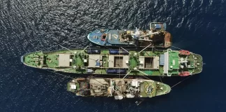 Net gains: how Pacific Island states are securing the future of tuna – and their own