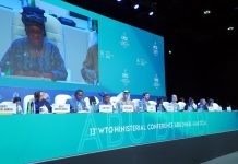 No WTO deal on fisheries subsidies for Pacific nations, but PANG pleased