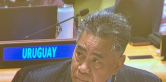 AOSIS chair champions Multidimensional Vulnerability Index at UN Assembly