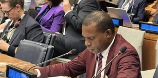 Investing in a better future for all- PNG shares its six finance steps for gender equality at CSW68