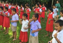 Healthy mouths, healthy lives: the Pacific’s 2030 commitment