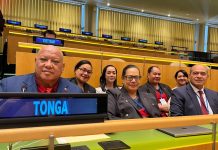 Some progress, more to be done for Pacific women, Forum tells CSW68