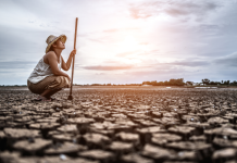 Blog: Why gender matters in climate finance