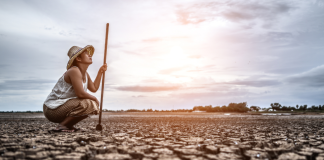 Blog: Why gender matters in climate finance
