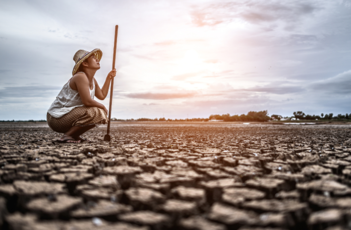 Blog: Why gender matters in climate finance