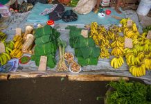 Study finds Pacific accounts for nine of the 10 most obese countries in the world