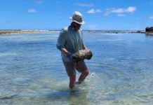 How hidden WW2 bombs across the Pacific are found and destroyed, decades after war